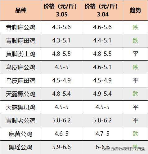 今日肉雞價(jià)格最新行情分析