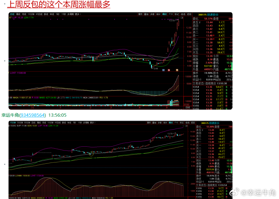 郎源股票最新行情深度解析