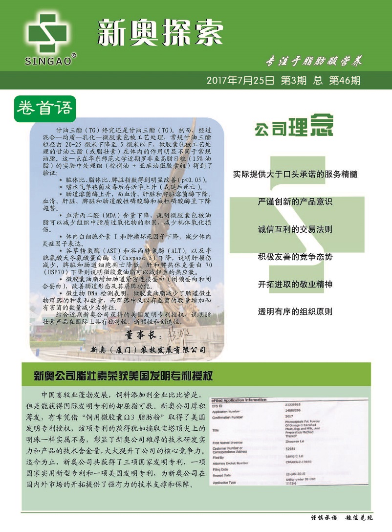 新澳2024年精準資料33期深度解析