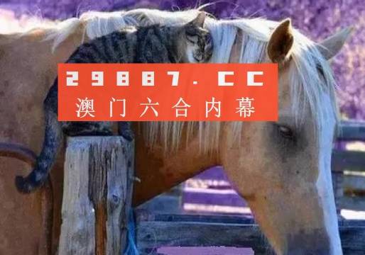 澳門資料正版大全，探索與揭秘