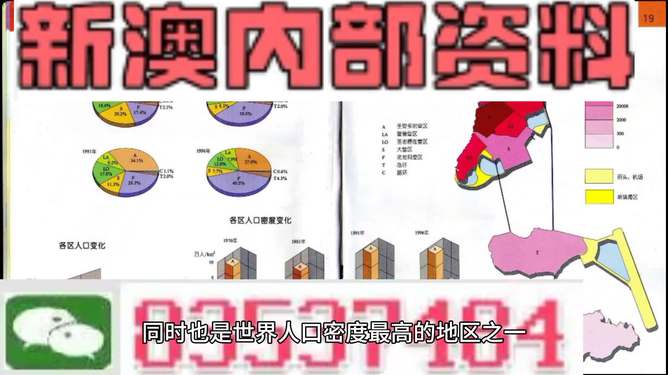 新澳門資料大全正版資料六肖，深度解析與探索