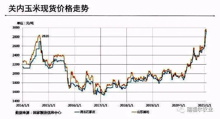 玉米走勢最新分析圖，市場趨勢與影響因素探討