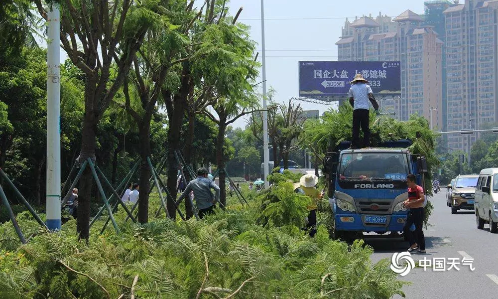 廣西北海臺風最新消息，臺風動態(tài)與應對措施