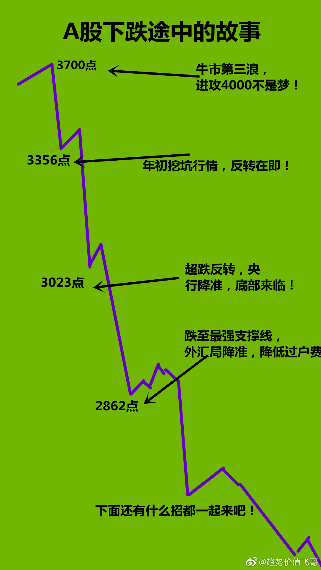 趨勢飛哥最新視頻探析