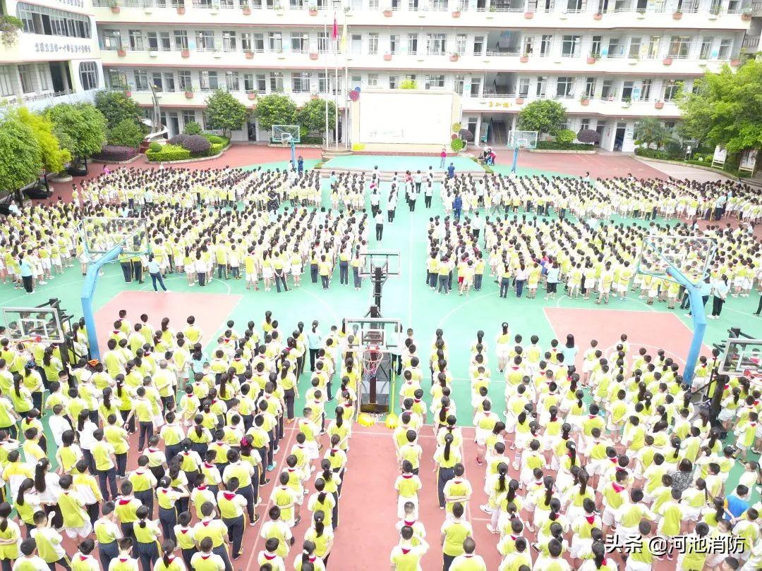 河池地震最新消息，全面解析與深度關注