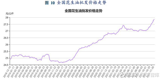 花生最新價格動態分析